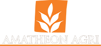 amatheon logo-white